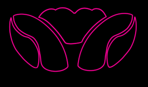 OBXENA Logo